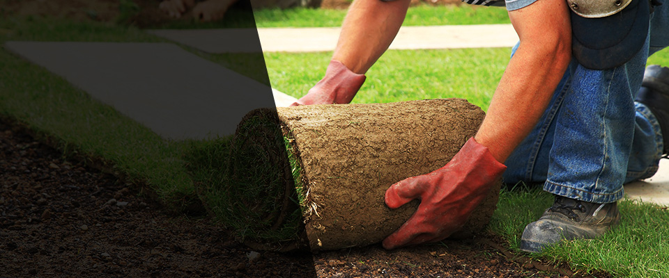 Lake Charles Landscapers